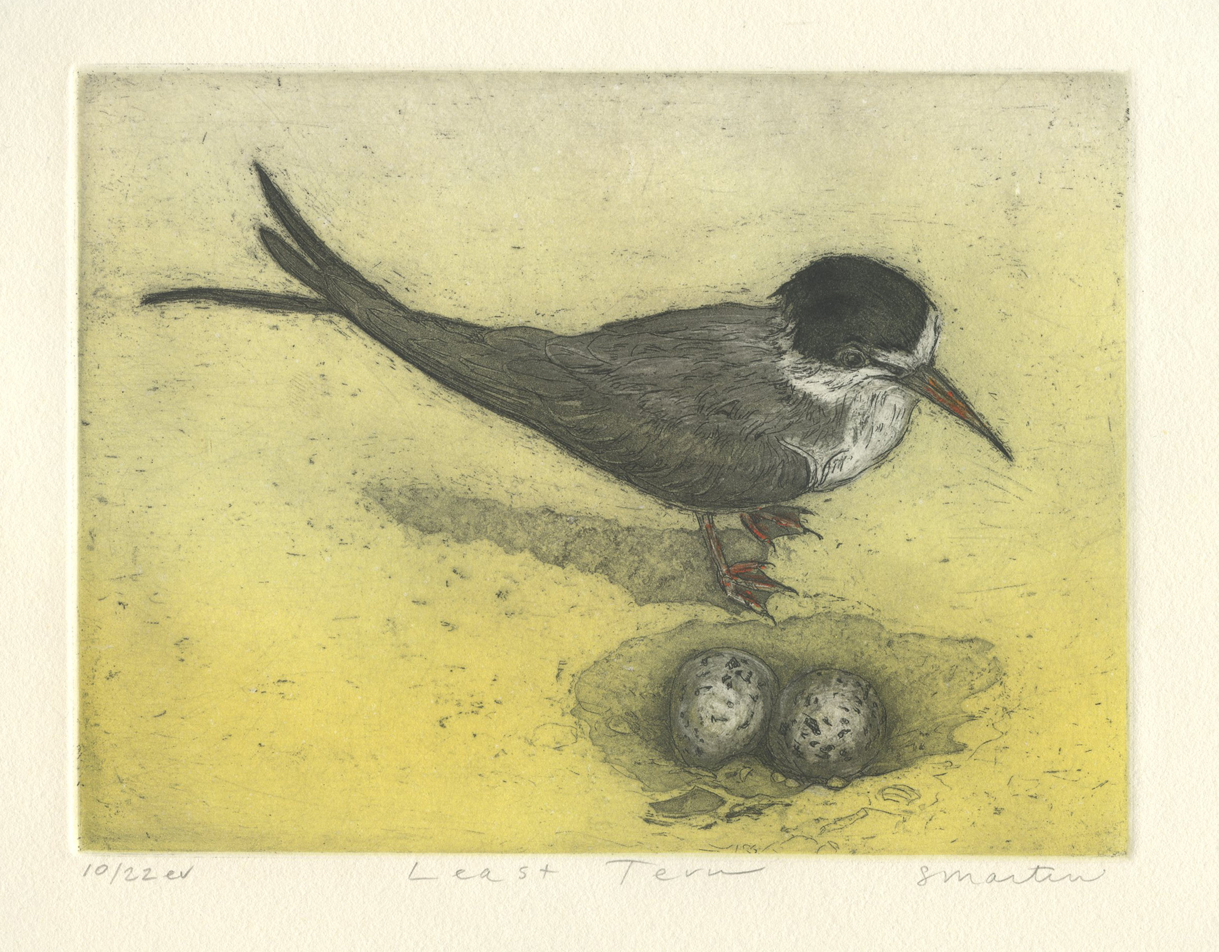 color etching of a bird standing over two eggs in a sandy depression