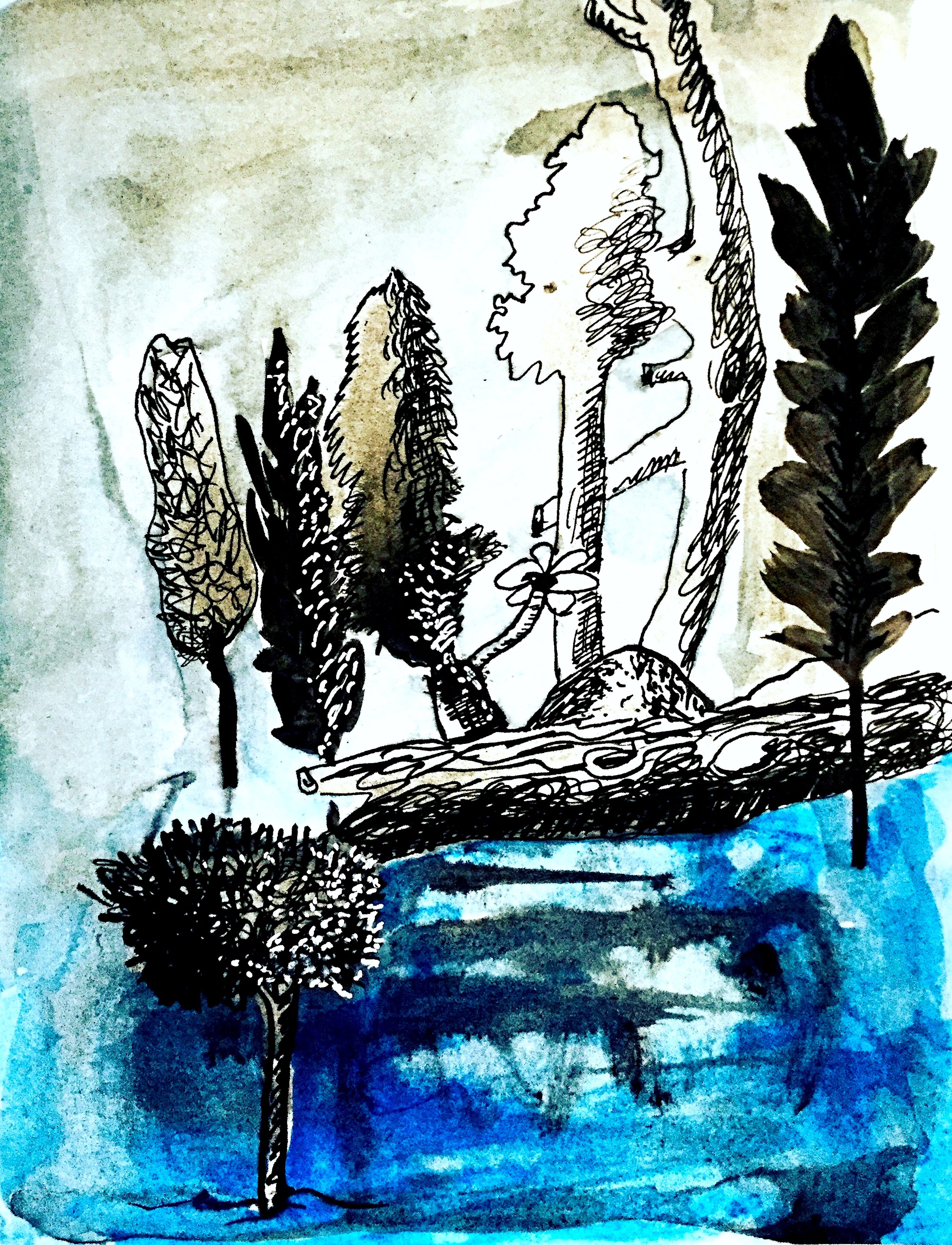 pen and ink and watercolor of trees and logs by a lake