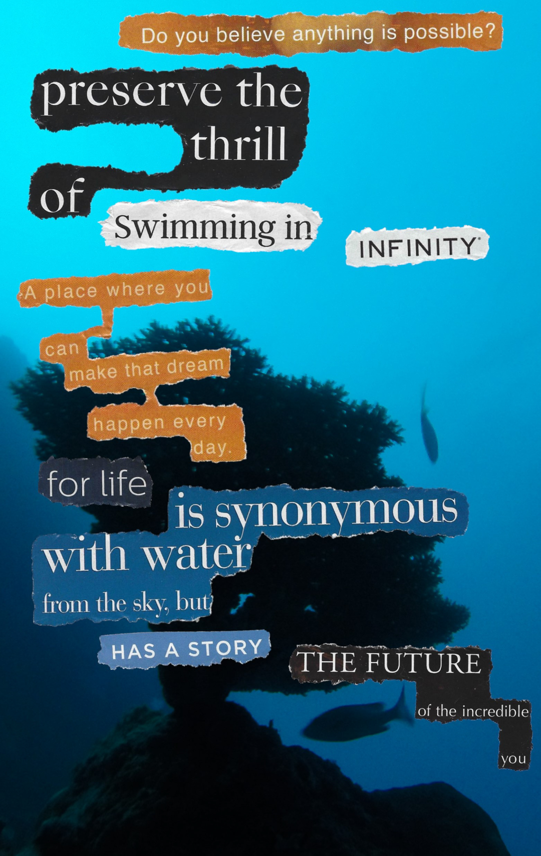 words pasted on photograph of undersea life that says do you believe
        			anything is possible preserve the thrill of swimming in infinity a place
        			where you can make that dream happen every day for life is synonymous
        			with water from the sky but has a story the future of the incredible you