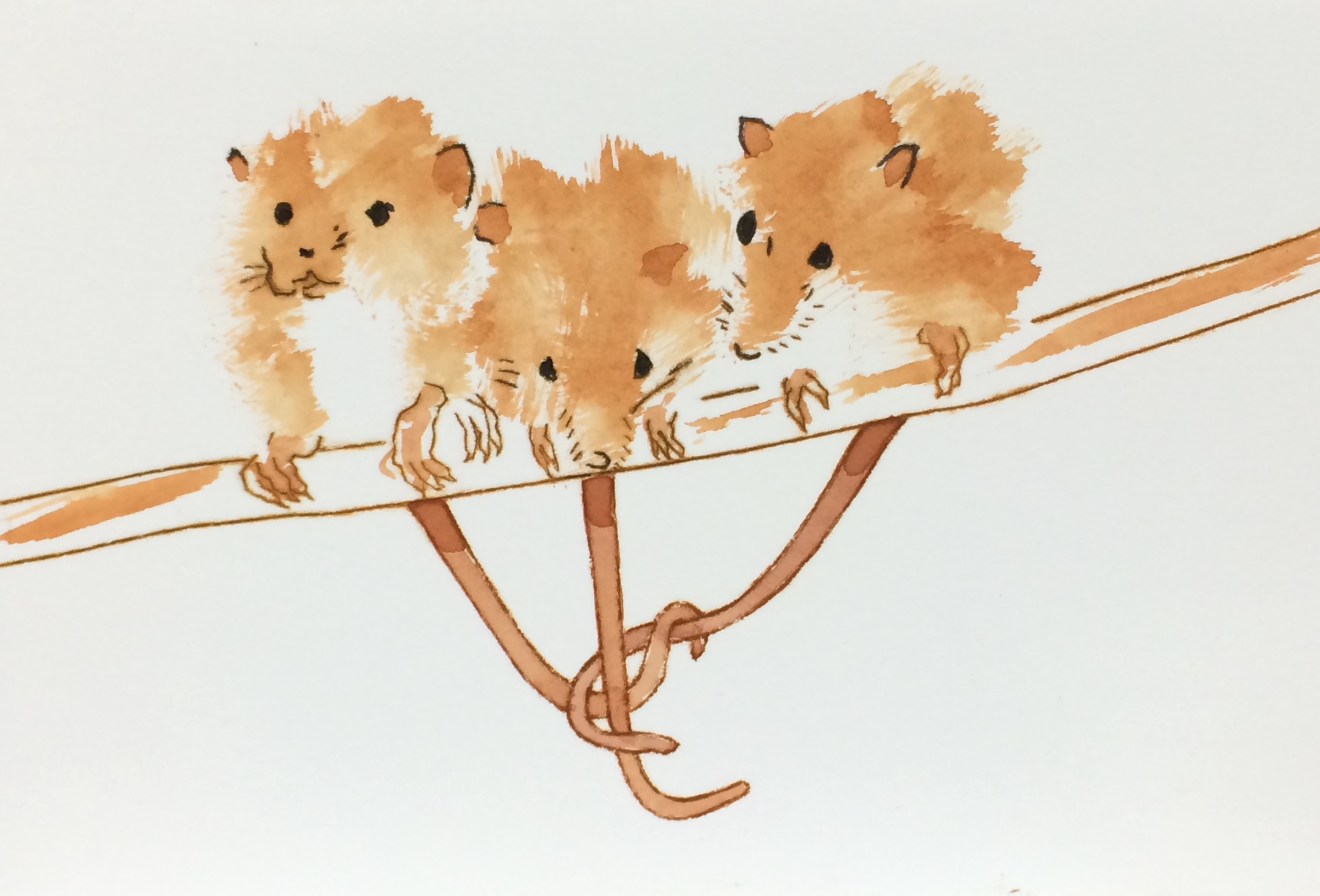 painting of three mice on a branch with their tails intertwined as one