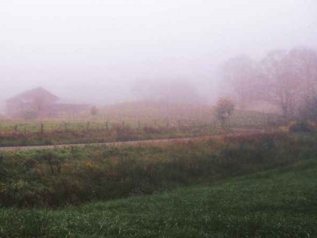 impressionistic photo of a lush lawn and trees and a house in the mist