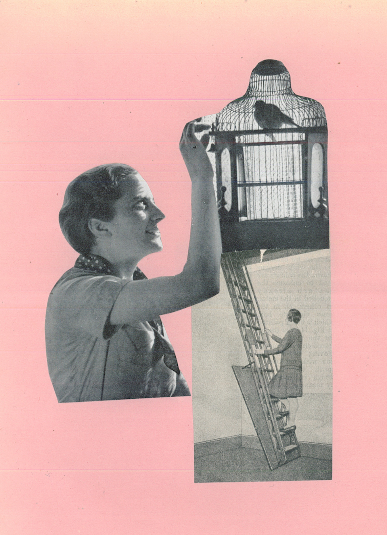 collage of woman touching a little bell on the outside of a
birdcage and another woman climbing a ladder up to the birdcage