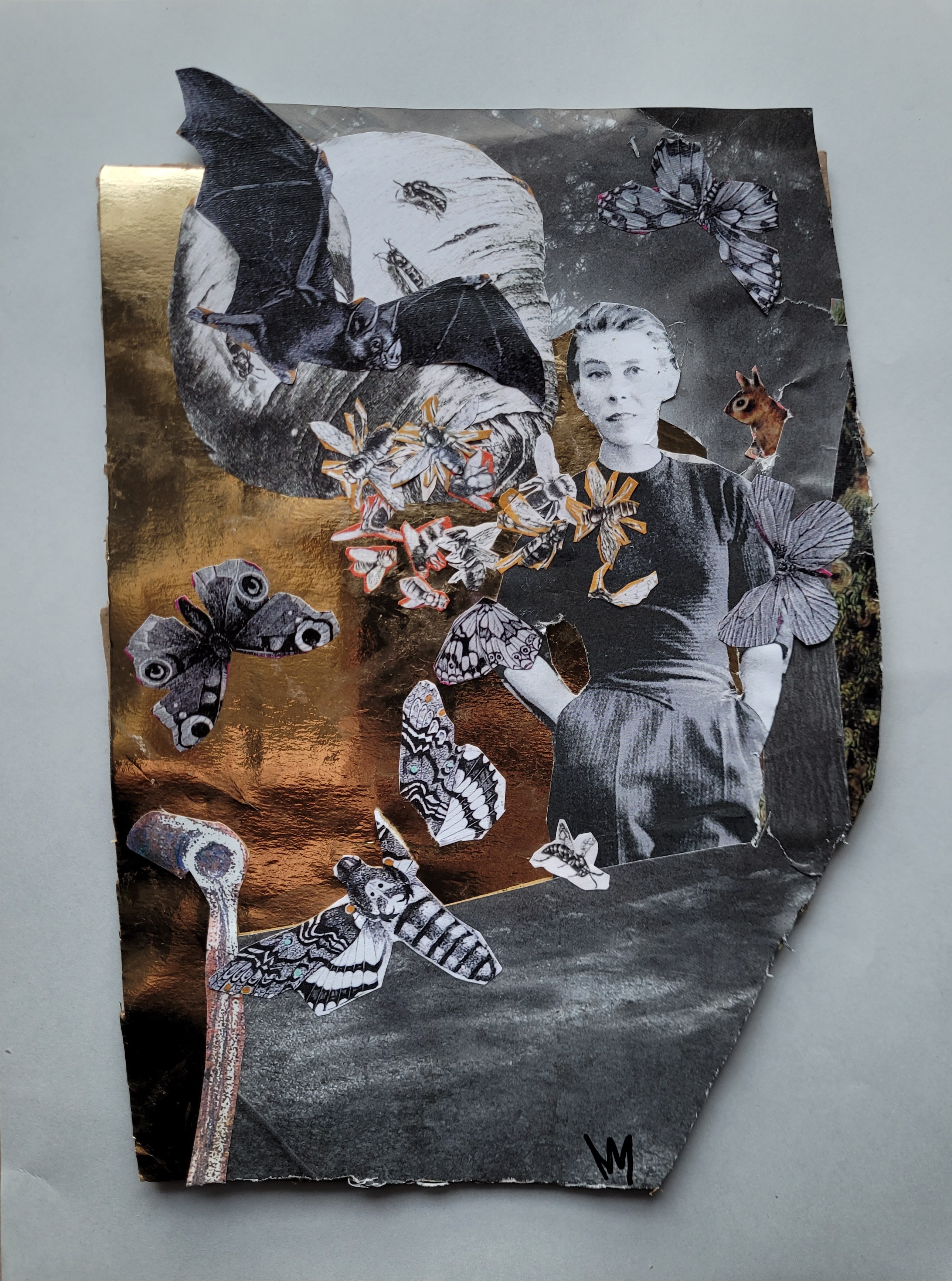 collage with a woman surrounded by flying insects as well as a bat