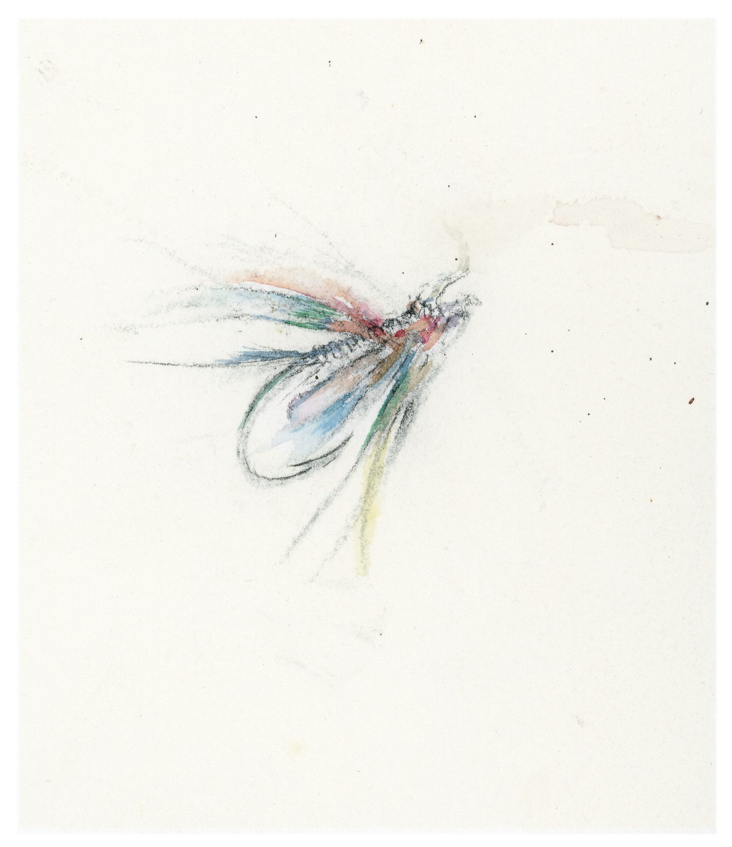 watercolor of a tied fly on a hook